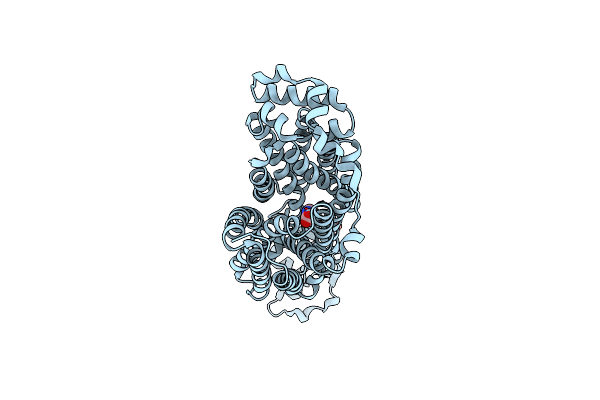 9B1M image