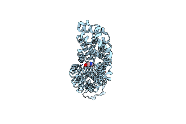 9B1N image