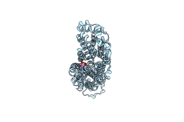9B1O image