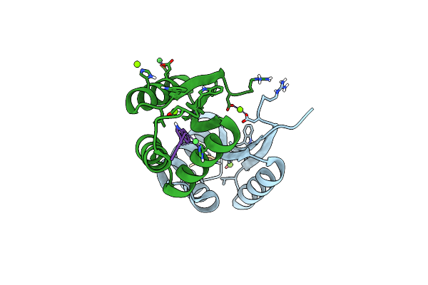 9B1P image