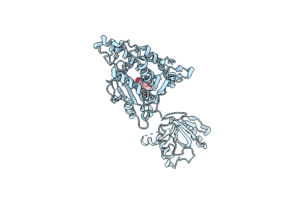 9B1R image
