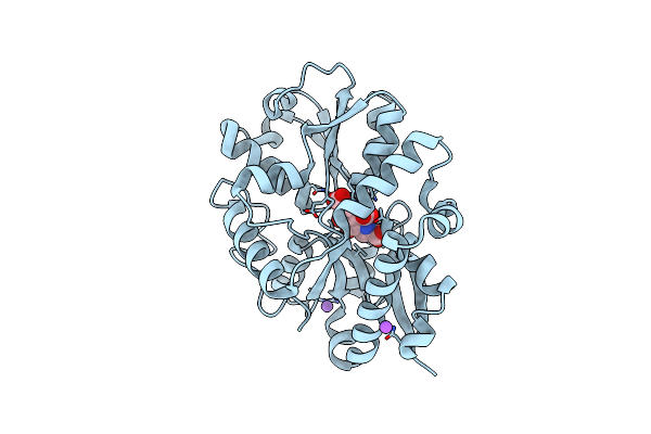 9B1U image