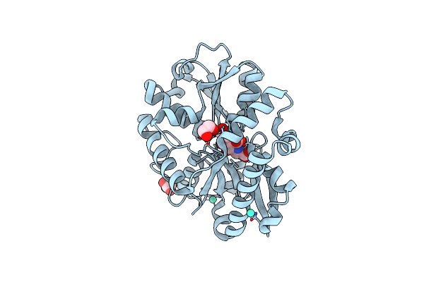 9B1V image