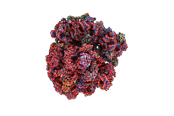 9B1X image
