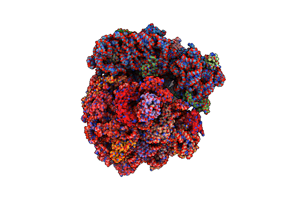 9B1Y image