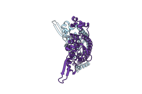 9B23 image