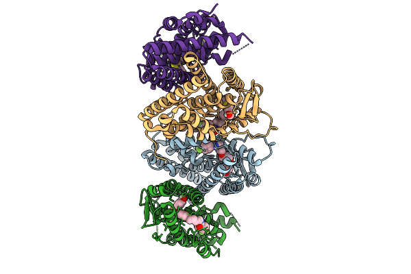 9B25 image