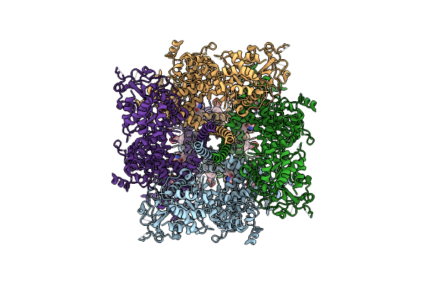 9B28 image