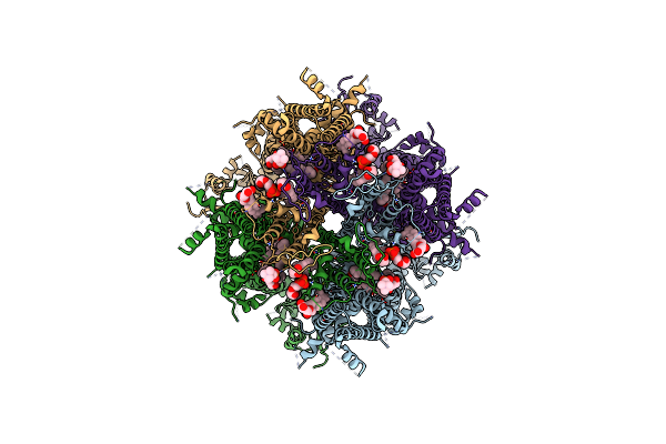 9B29 image