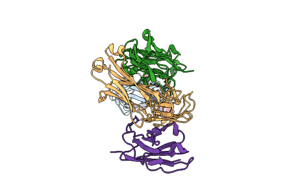 9B2C image