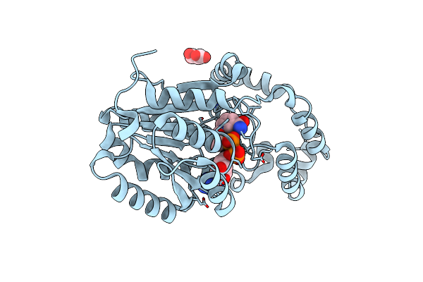 9B2F image