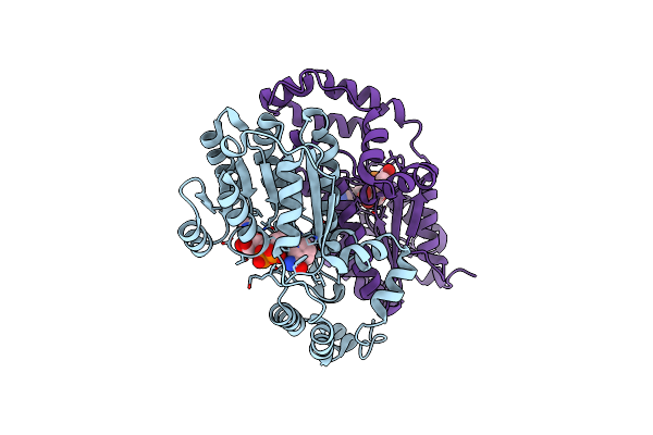 9B2G image