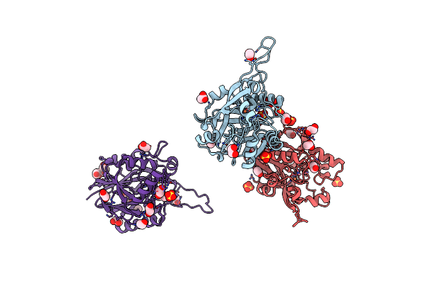 9B2I image