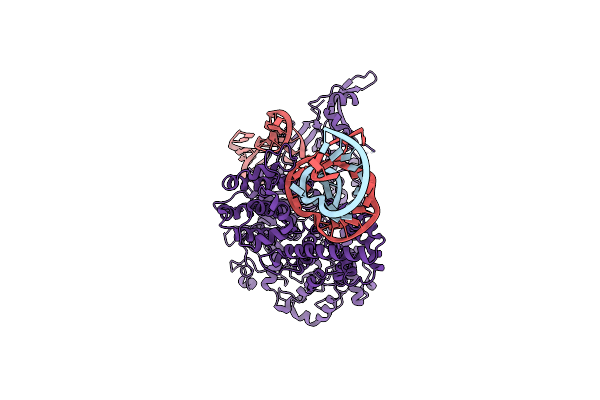 9B2K image