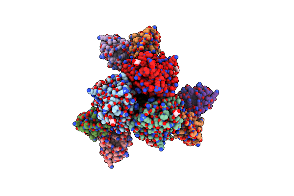 9B2M image