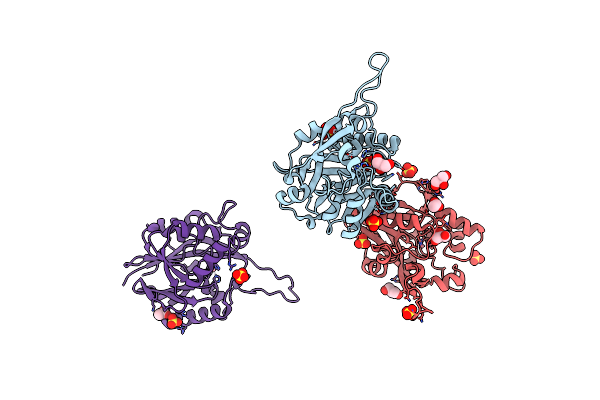 9B2N image