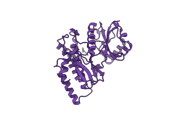 9B2U image