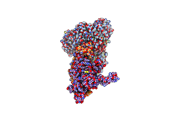 9B31 image