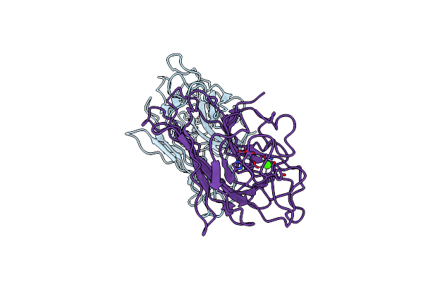 9B33 image