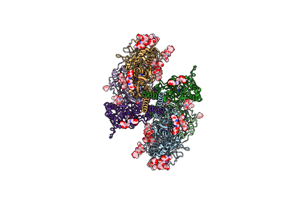 9B38 image
