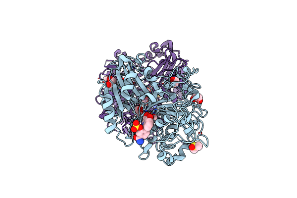 9B3B image