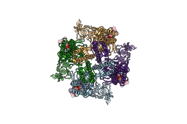 9B3V image