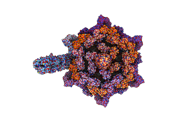 9B45 image