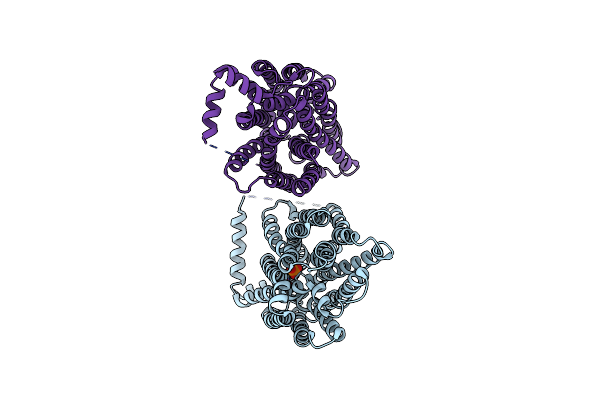 9B47 image
