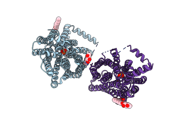 9B49 image
