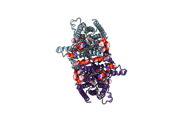 9B4G image