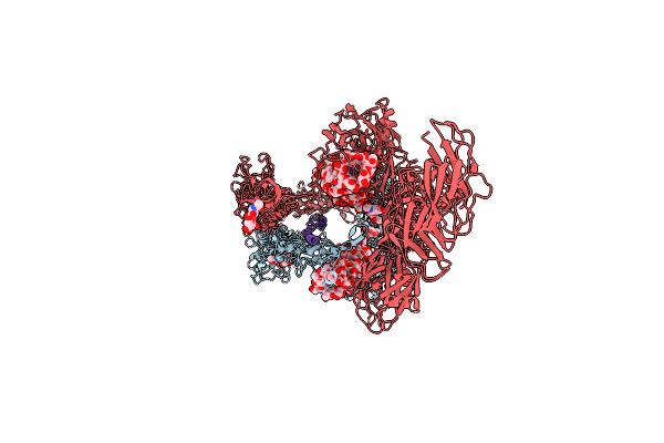 9B4H image