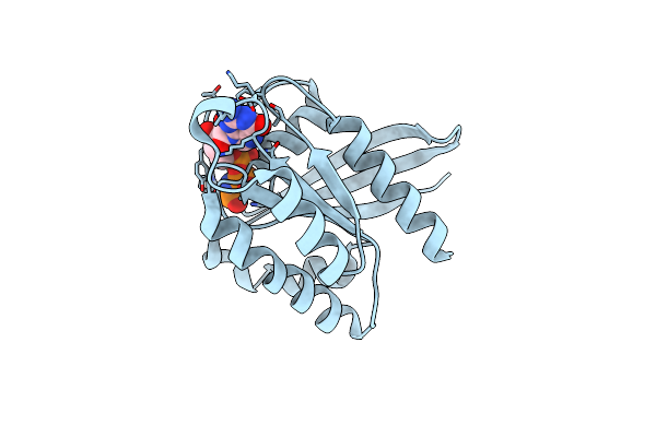 9B4Q image