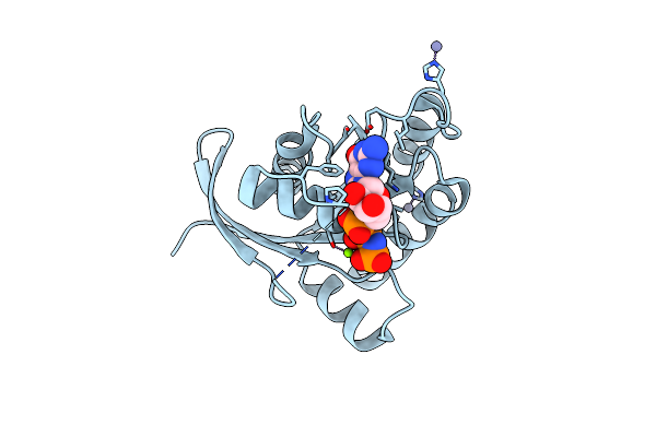 9B4R image
