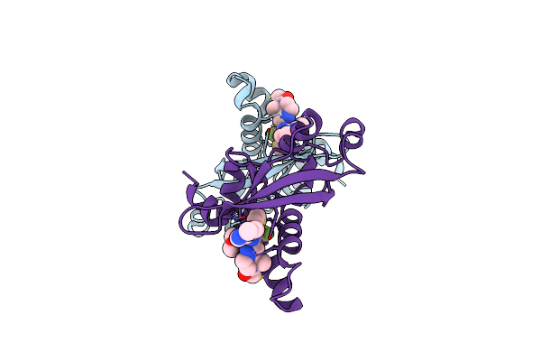 9B4U image