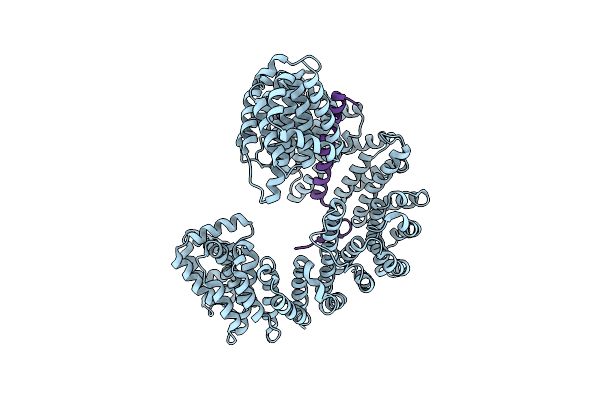 9B4Y image