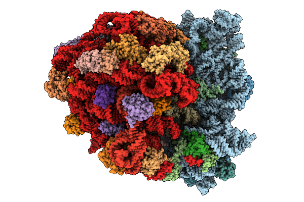 9B51 image