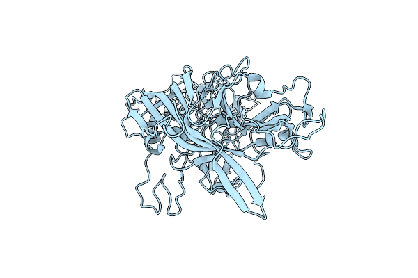 9B52 image