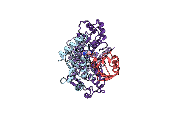 9B56 image