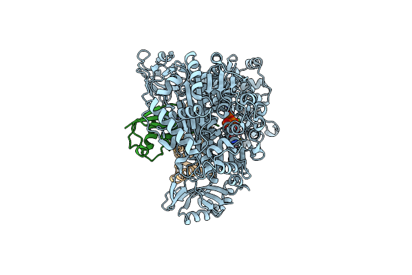 9B5C image