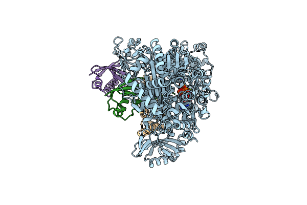 9B5D image