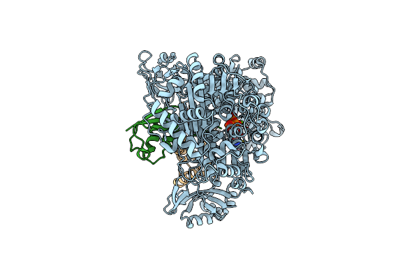 9B5G image