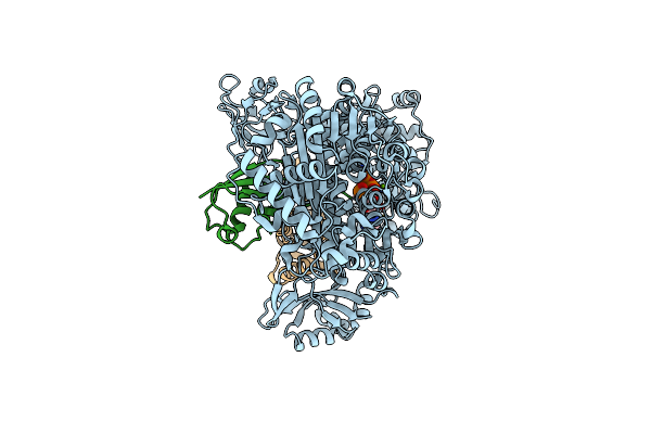 9B5I image