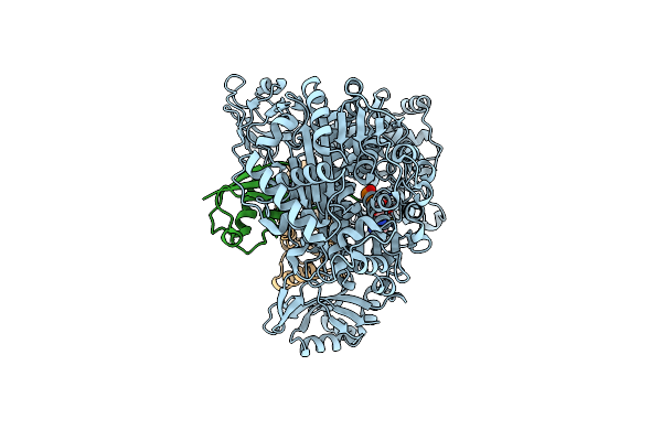 9B5J image