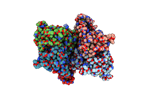 9B5Z image