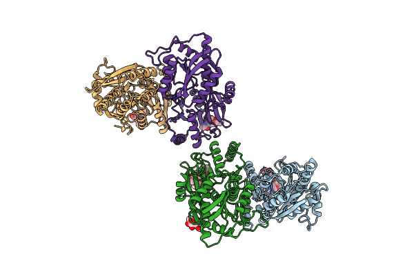 9B68 image