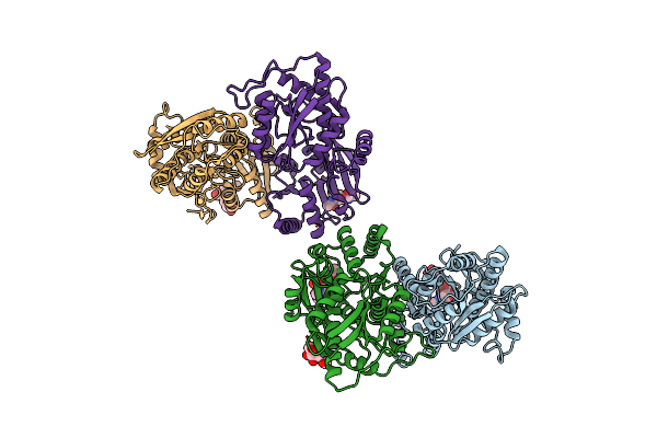 9B69 image