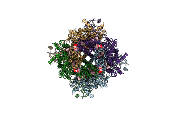 9B6D image