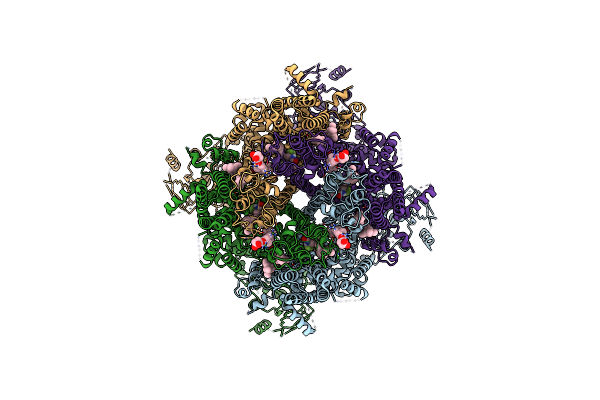 9B6F image