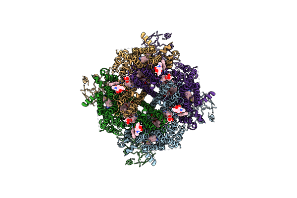 9B6G image