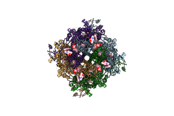 9B6H image